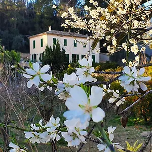 Landhaus Sa Maniga, Bunyola